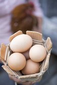 Woman holding basket of eggs and live hen