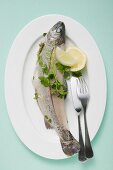 Trout with parsley, lemon wedges & fish knife & fork on plate