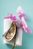 Frische Auster mit Perle auf Handtuch, Orchideen