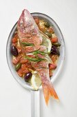 Fried red mullet on Mediterranean vegetables