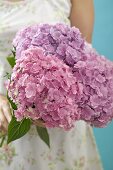 Woman holding bunch of hydrangeas