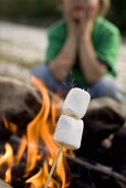 Marshmallows am Spiess vor Lagerfeuer, Kind im Hintergrund