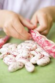 Child's hands shelling borlotti beans