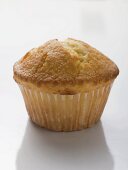 Lemon muffin in paper case