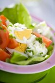 Lettuce, egg, tomato and yoghurt dressing