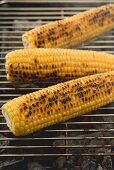 Corn on the cob on a barbecue