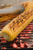 Corn on the cob on a barbecue with barbecue tongs