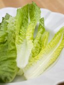 Romaine lettuce leaves on a white plate