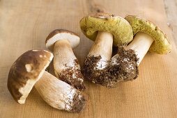 Four freshly picked ceps on wooden background