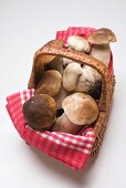 Fresh ceps in a basket