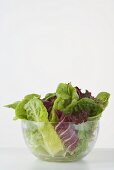 Gemischter Blattsalat in Glasschüssel