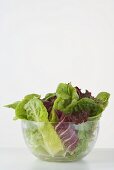 Mixed salad leaves in glass bowl