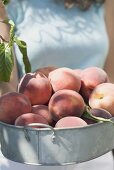 Woman holding fresh peaches in metal container