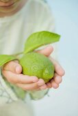 Small boy holding a fresh lime with leaves