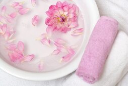 Pink flower petals in bowl of water, towels beside it