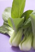 Fresh pak choi