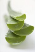 Four Aloe vera leaves, in a pile