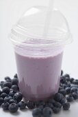 Blueberry shake in plastic cup, surrounded by blueberries