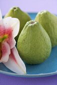 Three guavas on plate with orchid