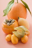 Assorted exotic fruits and citrus fruit