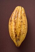 Cacao fruit on brown background