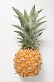 A baby pineapple