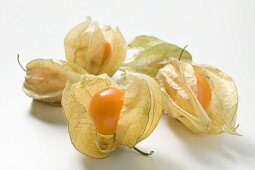 Several physalis with husks