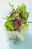 Mixed salad leaves in plastic container with fork