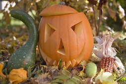 Carved pumpkin face in garden