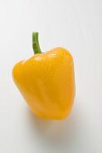 Yellow pepper with drops of water