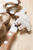 Shiitake mushrooms with knife on chopping board (close-up)