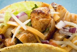 Chicken taco (close-up)