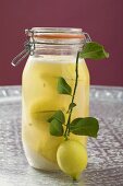 Pickled lemons in jar, small branch with fresh lemon