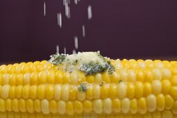 Sprinkling salt on corn on the cob with herb butter