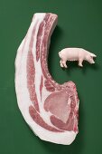 Bio-Schweinekotelett und ein Miniaturschwein