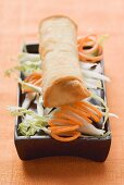 Spring roll on raw vegetables