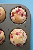 Redcurrant muffins in baking tin (overhead view)