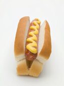 Hot dog with mustard