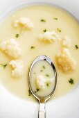 Cauliflower soup (detail)