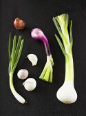 Garlic and various types of onions