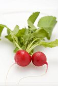 Two radishes