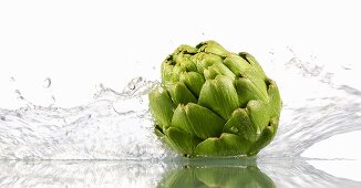 Artichoke with splashing water