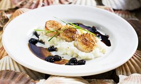 Fried scallops with cauliflower puree and raisins