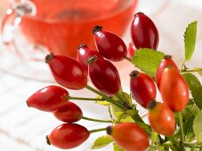 Fresh rosehips with a cup of rosehip rea in the background