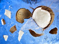 A coconut falling into water