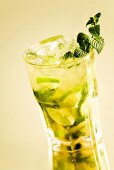 Mojito in glass