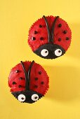 Ladybird cupcakes from above