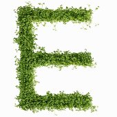 The letter E in cress
