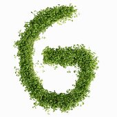 The letter G in cress