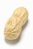 One unshelled peanut